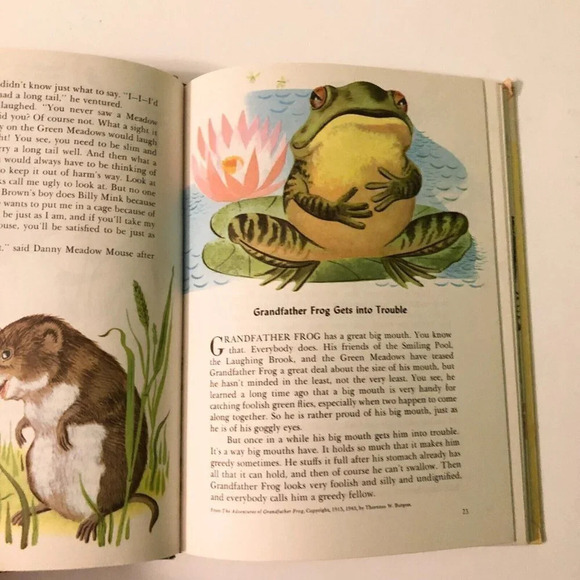 Vintage Double Book Bedtime Stories and  The Pony Engine Dandelion Library - Picture 15 of 16